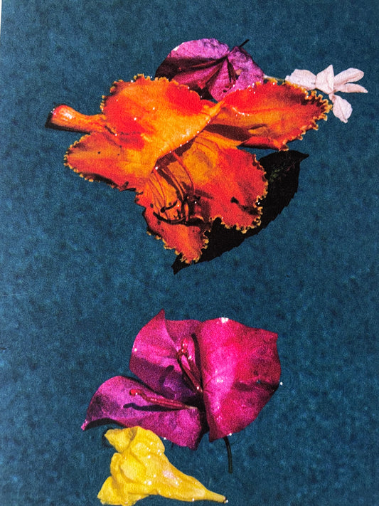 Las flores de Lupe [Print]